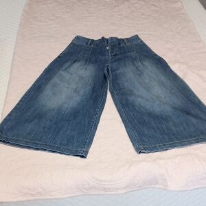 Pilcro and the Letterpress Wide-Leg Blue Denim Culottes